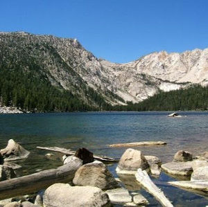 Meet your Posher, Jaylee